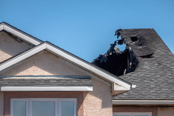 Top rated local Fire Damage Repair specialists in Newtown, OH
